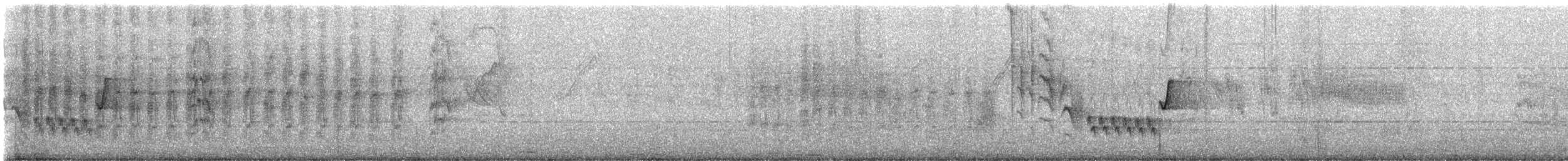 Troglodyte familier (groupe musculus) - ML615180774