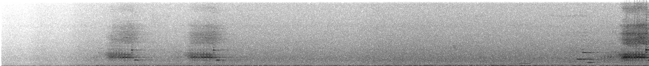 Белокрылая сорока - ML615182161