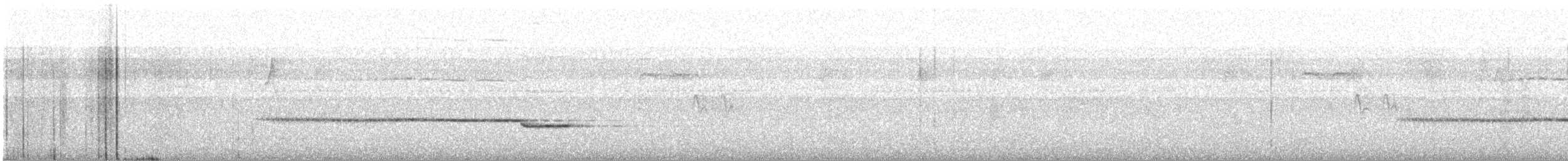 Черно-белая сибия - ML615182369