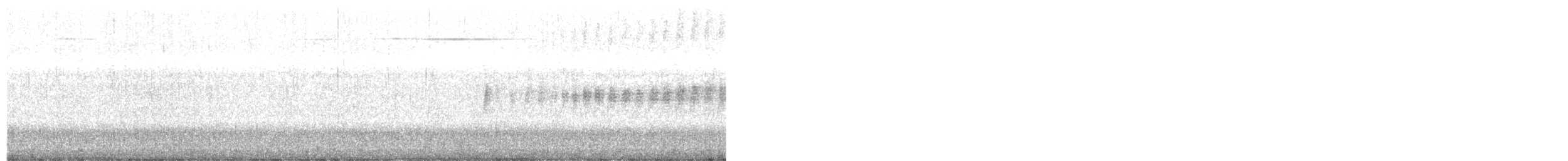 Mirlo Acuático Norteamericano - ML615183514