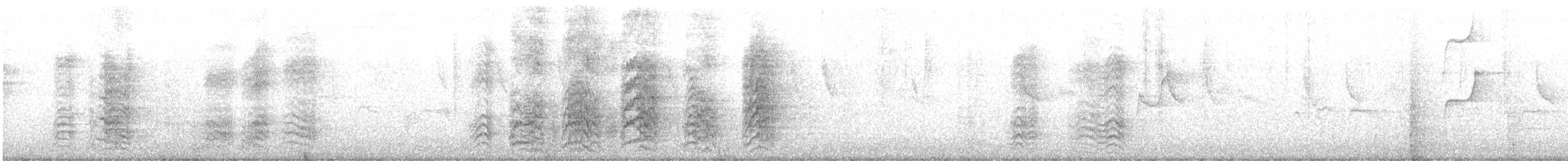Синелобая аратинга - ML615185288