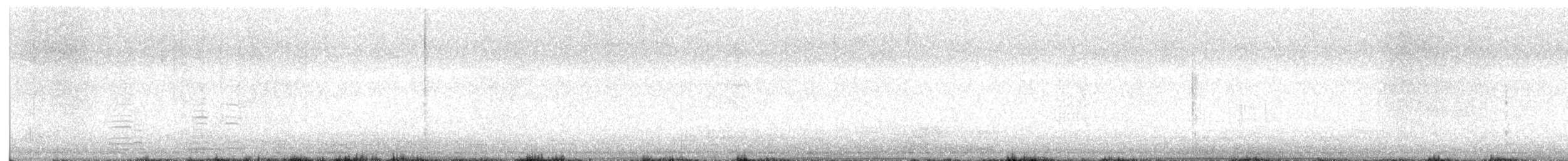 Cisne Trompetero - ML615186904