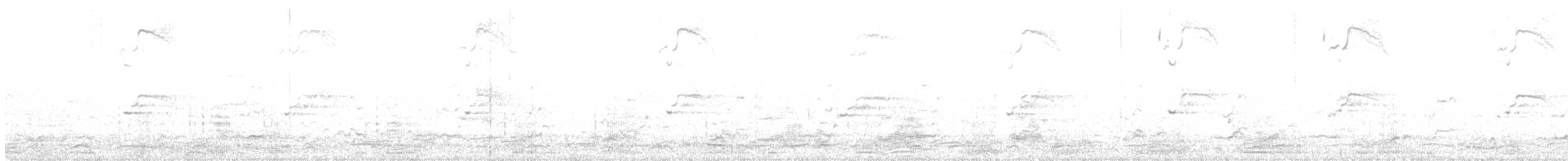 Western/Glaucous-winged Gull - ML615190911
