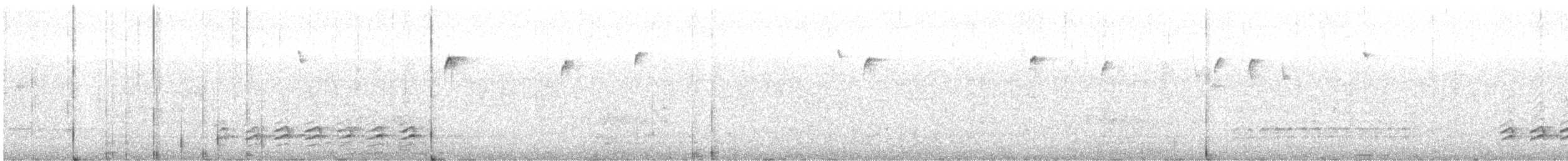 Weißbrustkleiber - ML615192615