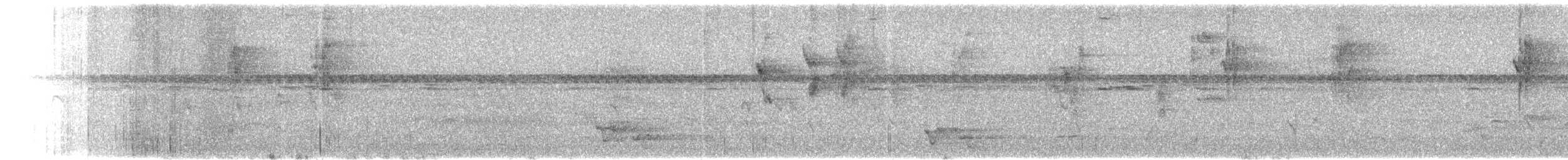 フィジーミツスイ - ML615193972