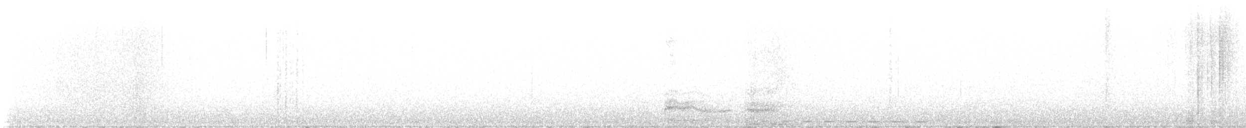 Усатая совка - ML615193992