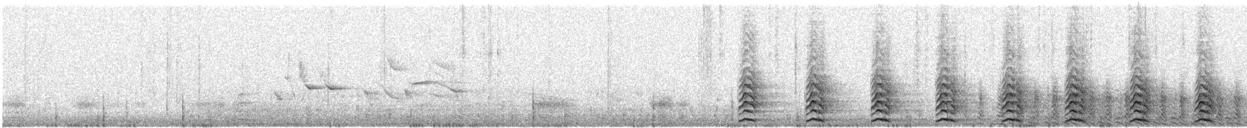 Лиска жовтодзьоба - ML615194147