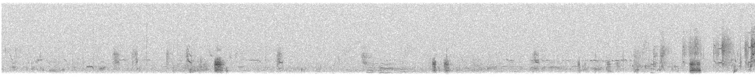 potápka bělouchá - ML615194285
