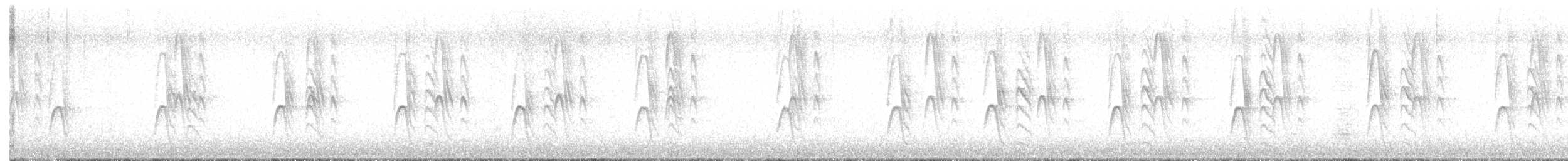 Sittelle à tête brune - ML615195171