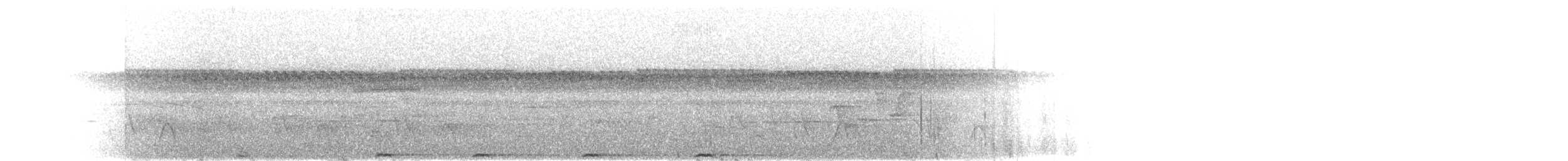 Пінон фіджійський - ML615197130