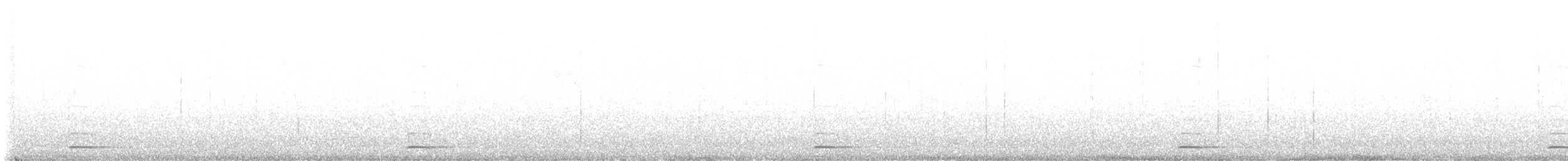 Chevêchette naine (groupe californicum) - ML615198194