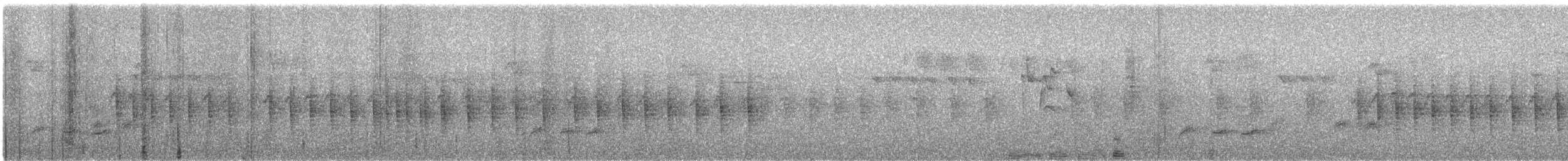 Ave sp. - ML615199005