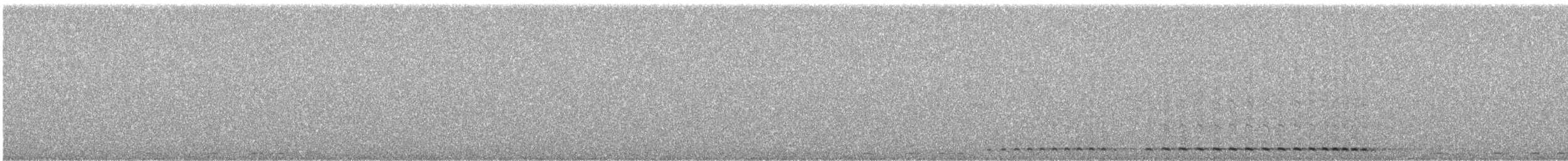 Western Screech-Owl - ML615199308