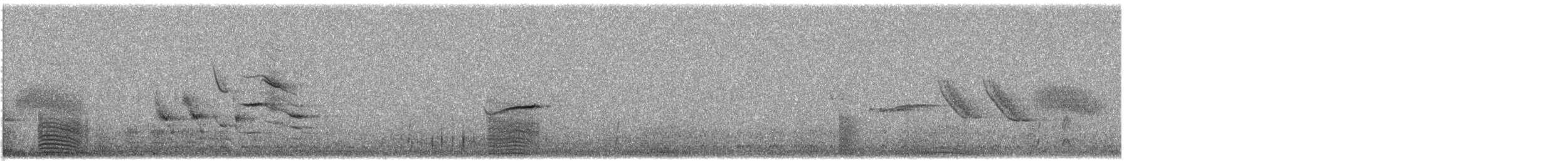 potápka bělouchá - ML615201089