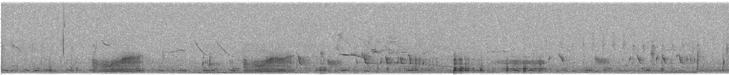 potápka bělouchá - ML615201091