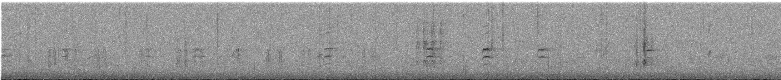 křivka bělokřídlá - ML615202452