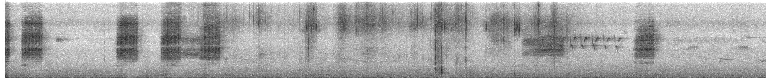 Сибирский жулан (cristatus/confusus) - ML615203711