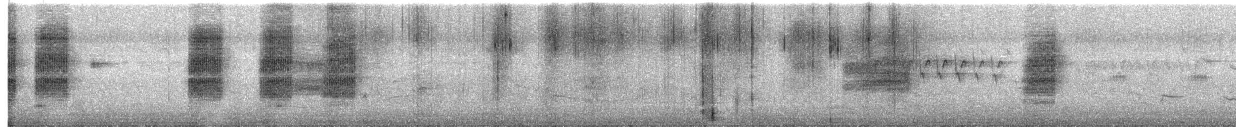 Сибирский жулан (cristatus/confusus) - ML615203711