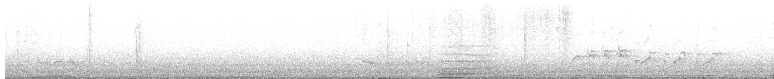 Swallow-tailed Kite - ML615204677