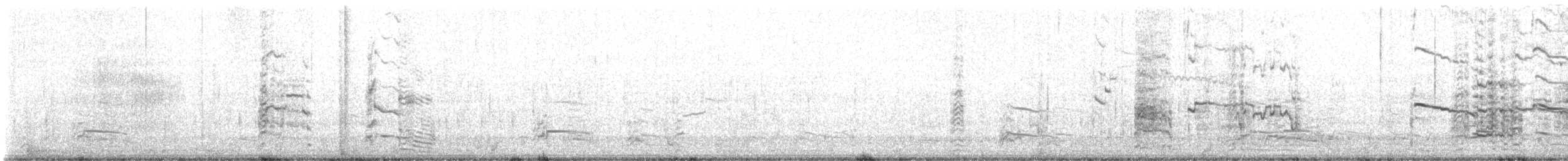 Делавэрская чайка - ML615209549