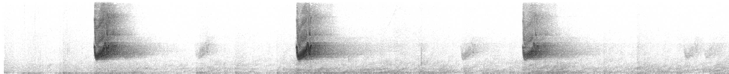 南亞夜鷹 - ML615212968