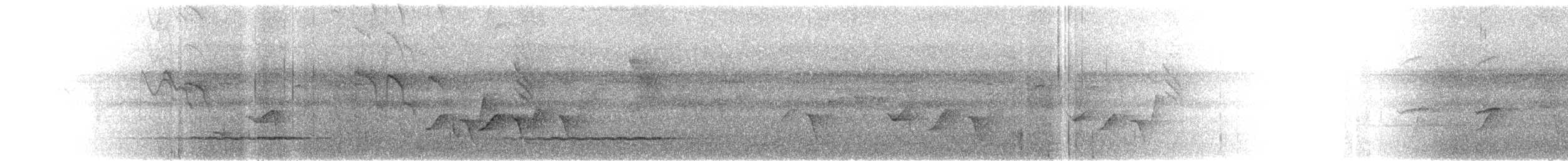 Silbador de Fiyi - ML615213636
