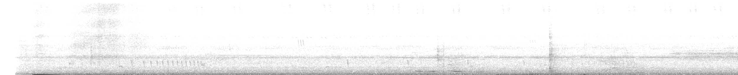 lelek džunglový - ML615214496