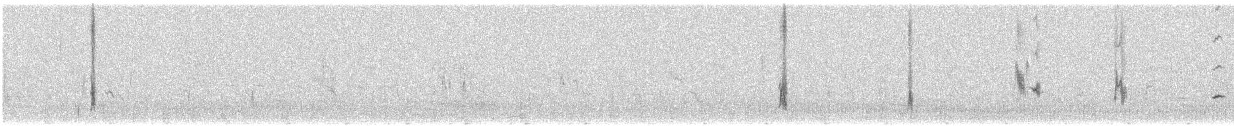 svarthodespurv - ML615215093