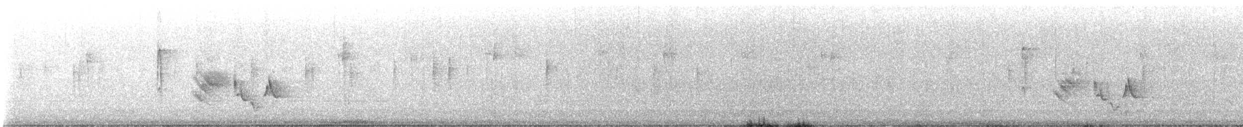White-eyed Vireo - ML615215204