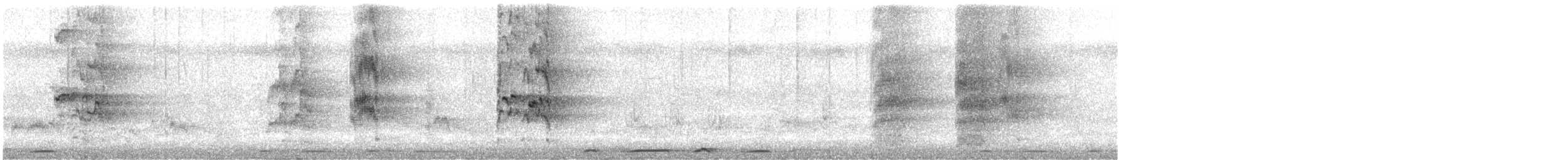 紅領吸蜜鸚鵡 - ML615215285