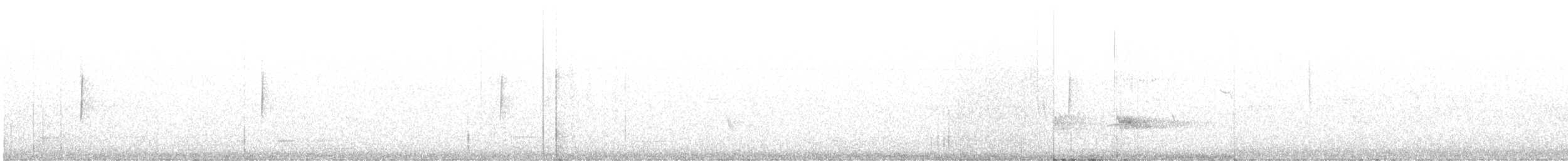 ウスチャメジロハエトリ - ML615215562