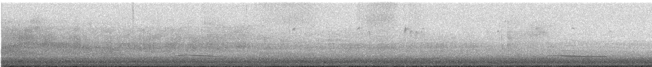 紅喉潛鳥 - ML615216481