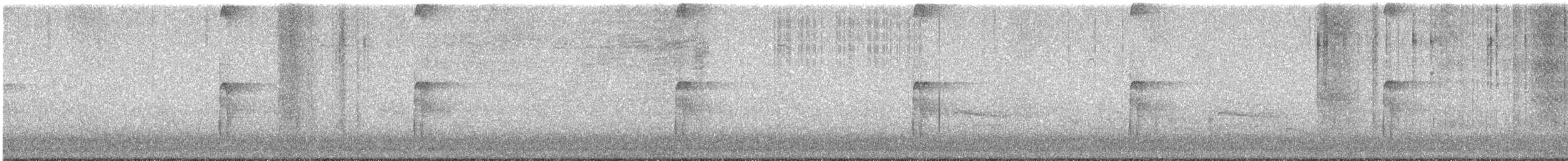 Hairy Woodpecker - ML615217930