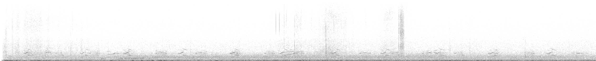 Малая канадская казарка - ML615219315
