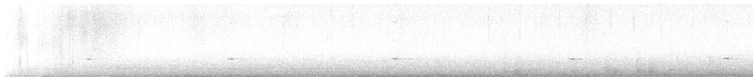 ハエトリツグミ - ML615220257