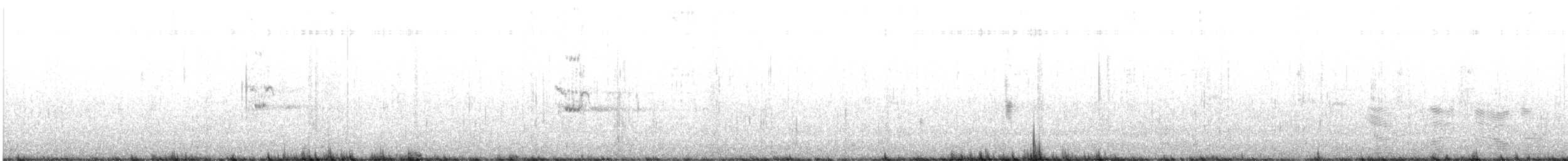 Royal Tern - ML615220314