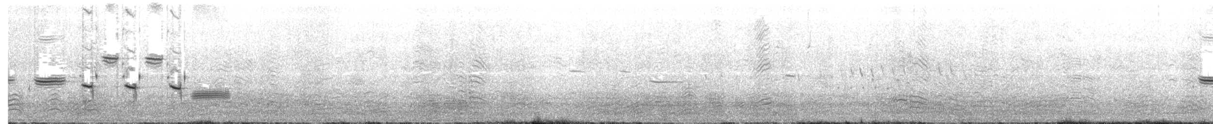 Song Sparrow - ML61522501