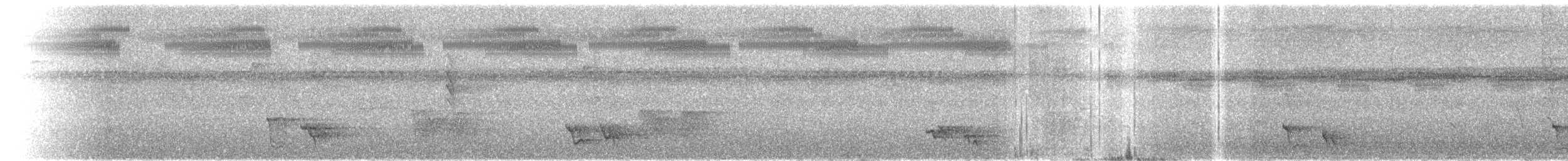 Mielero Carunculado de Viti Levu - ML615229256