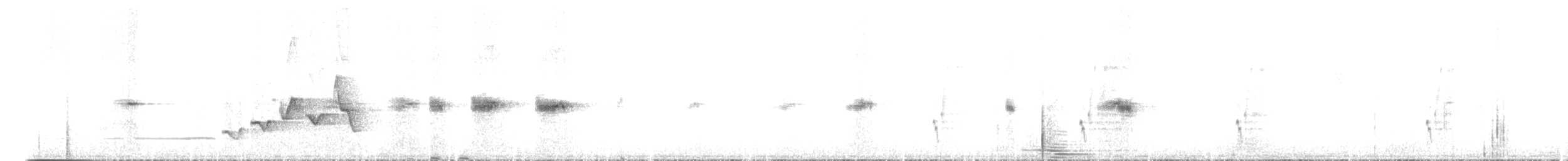 Лусонская широкохвостка - ML615229841