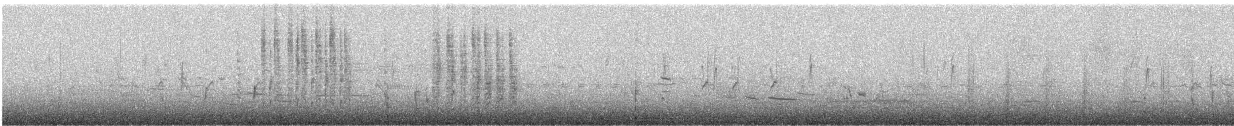 Troglodyte des marais - ML615231425