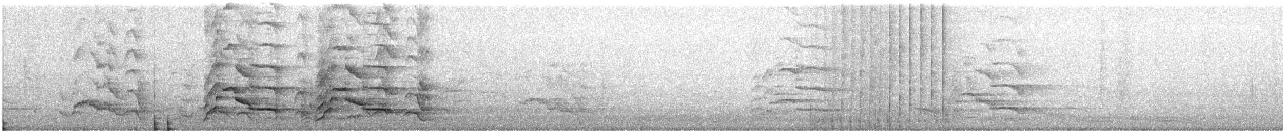 Carnaby Siyah Kakadusu - ML615233206