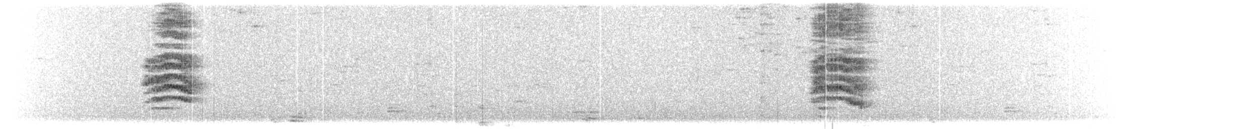 svartnakkepirol (diffusus) - ML615234831