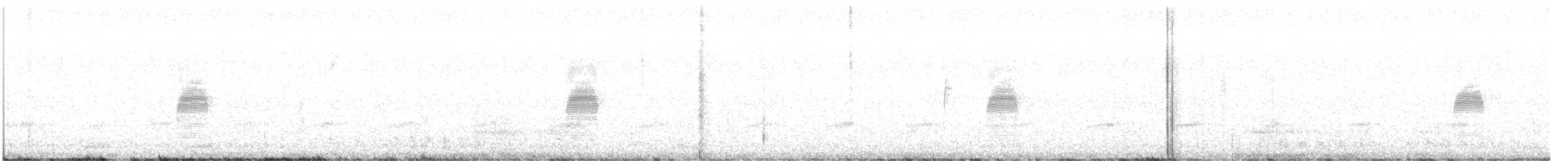 amerikarugde - ML615236258