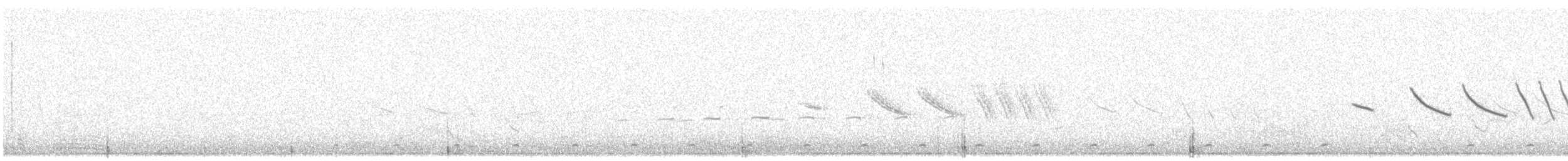 Magellanic Oystercatcher - ML615240858