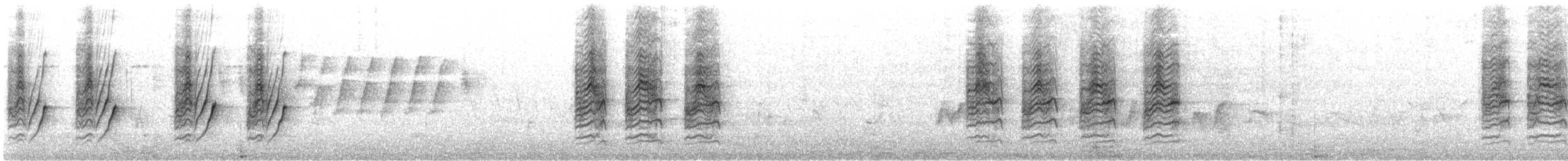 Белобрюхая нектарница - ML615241937