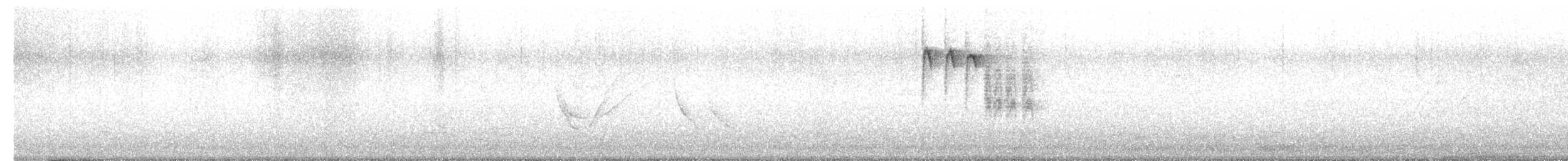 Amilotx urdina - ML615242453