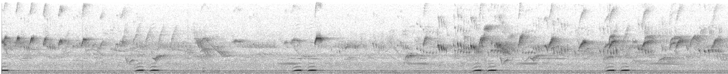 Eurasian Hoopoe (African) - ML615247731