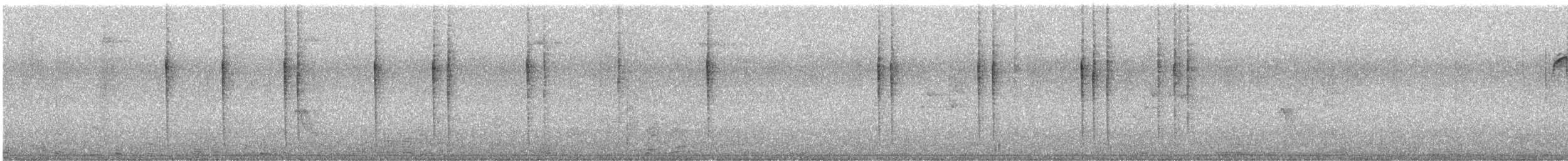 Оазисный колибри - ML615249130