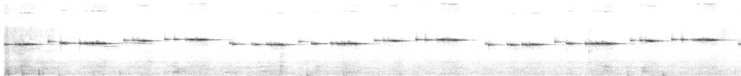 Spotted Elachura - ML615251862