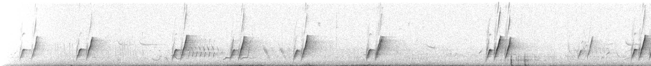 Curve-billed Thrasher (palmeri Group) - ML615252006
